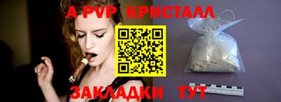 a pvp Новозыбков