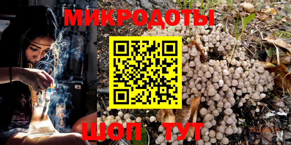 Севастополь  Псилоцибиновые грибы Psilocybe  Псилоцибиновые грибы Psilocybe  Вход с VPN 